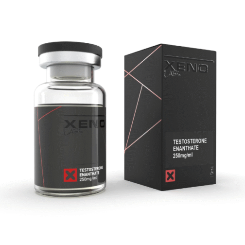 Test/E250 Xeno US
