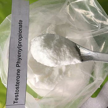 Testosterone Phenylpropionate Powder