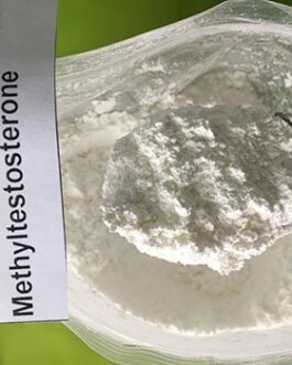 Methyltestosterone Powder