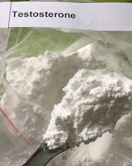 Testosterones Base Powder
