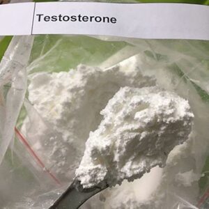 Testosterones Base Powder