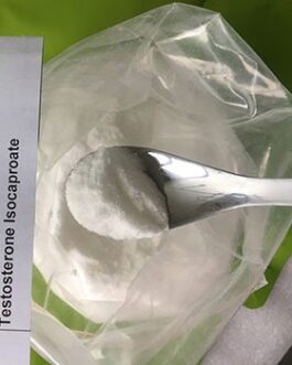Testosterone Isocaproate Powder