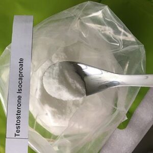 Testosterone Isocaproate Powder